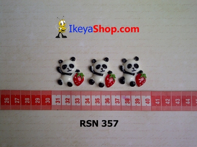 rsn 357  large2